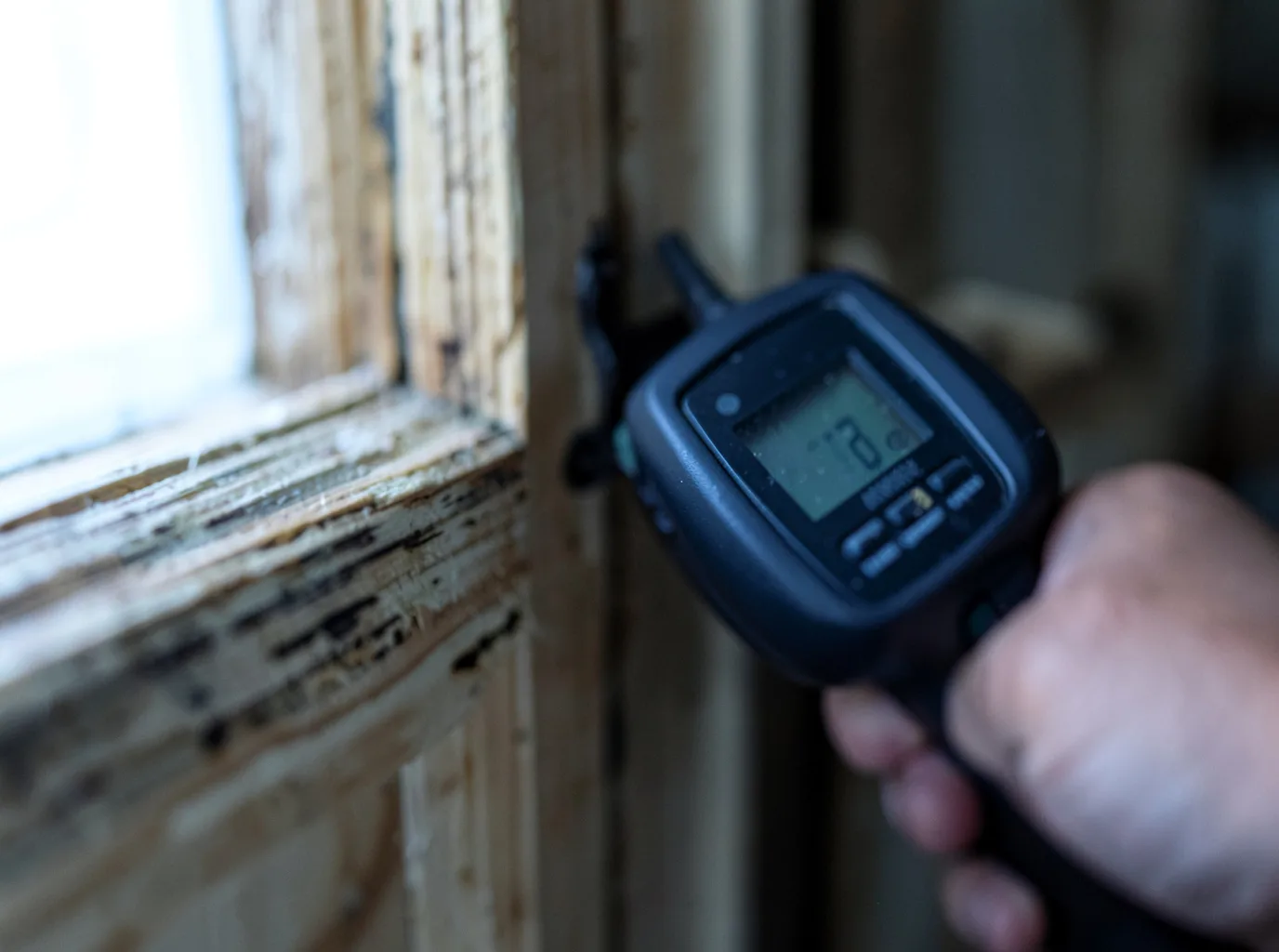Moisture Inspection And Documentation in Bristol, IL